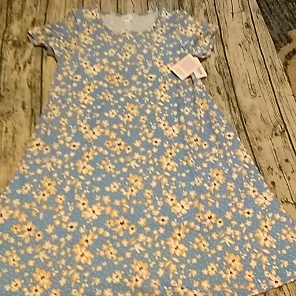 NWT LuLaRoe Jessie dress size L large ladies womens floral